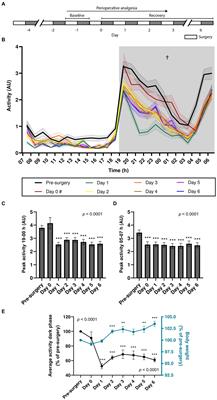 Continuous locomotor activity monitoring to assess animal welfare following intracranial surgery in mice